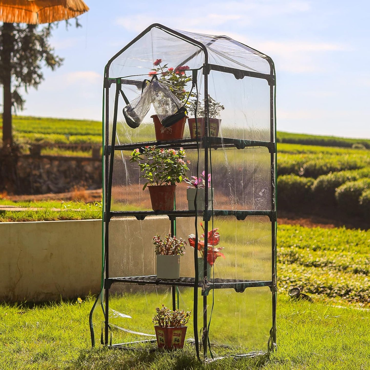 Small Plant Greenhouses Kit Outdoor Indoor with 4 Tiers Shelves, Improved Transparent PVC Cover, L27.16''Xw19.29''Xh62.99''