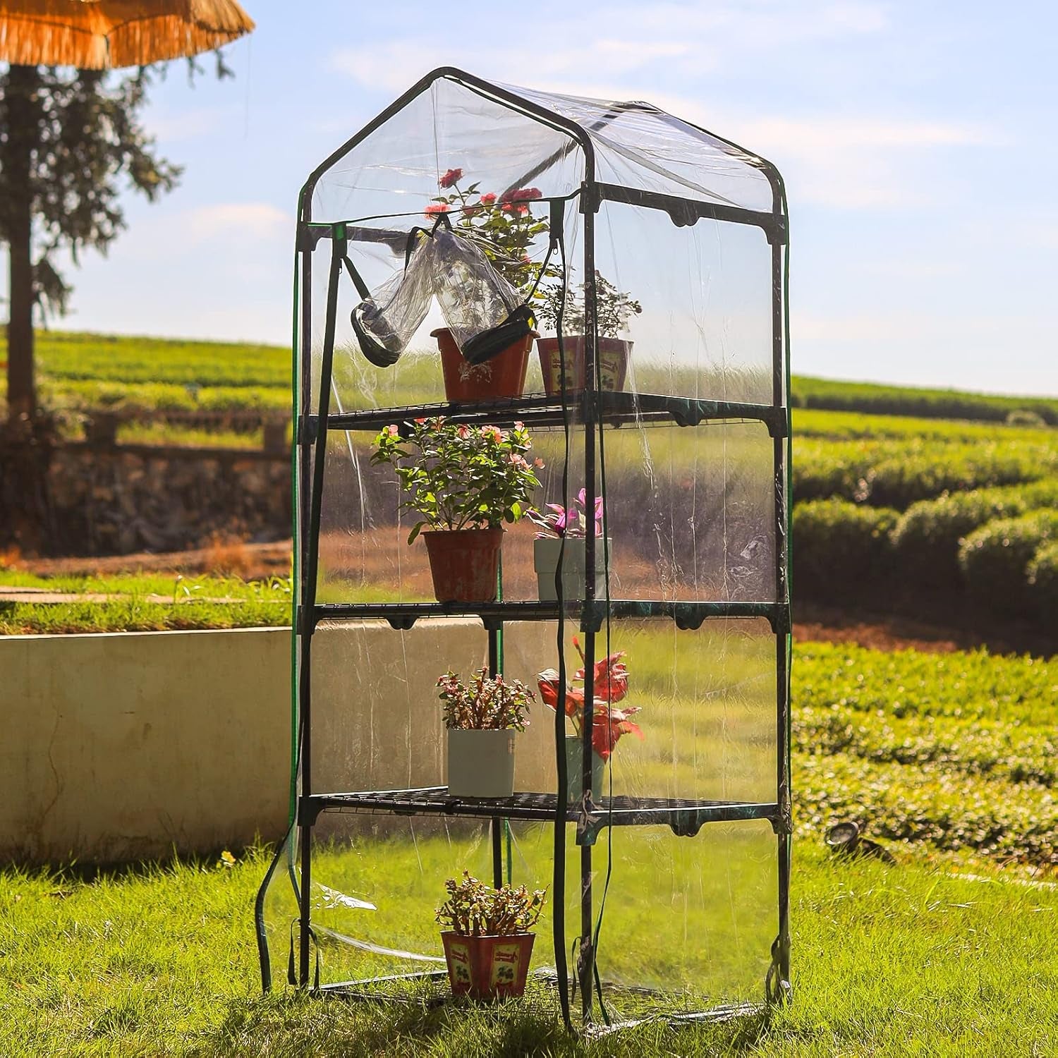 Small Plant Greenhouses Kit Outdoor Indoor with 4 Tiers Shelves, Improved Transparent PVC Cover, L27.16''Xw19.29''Xh62.99''